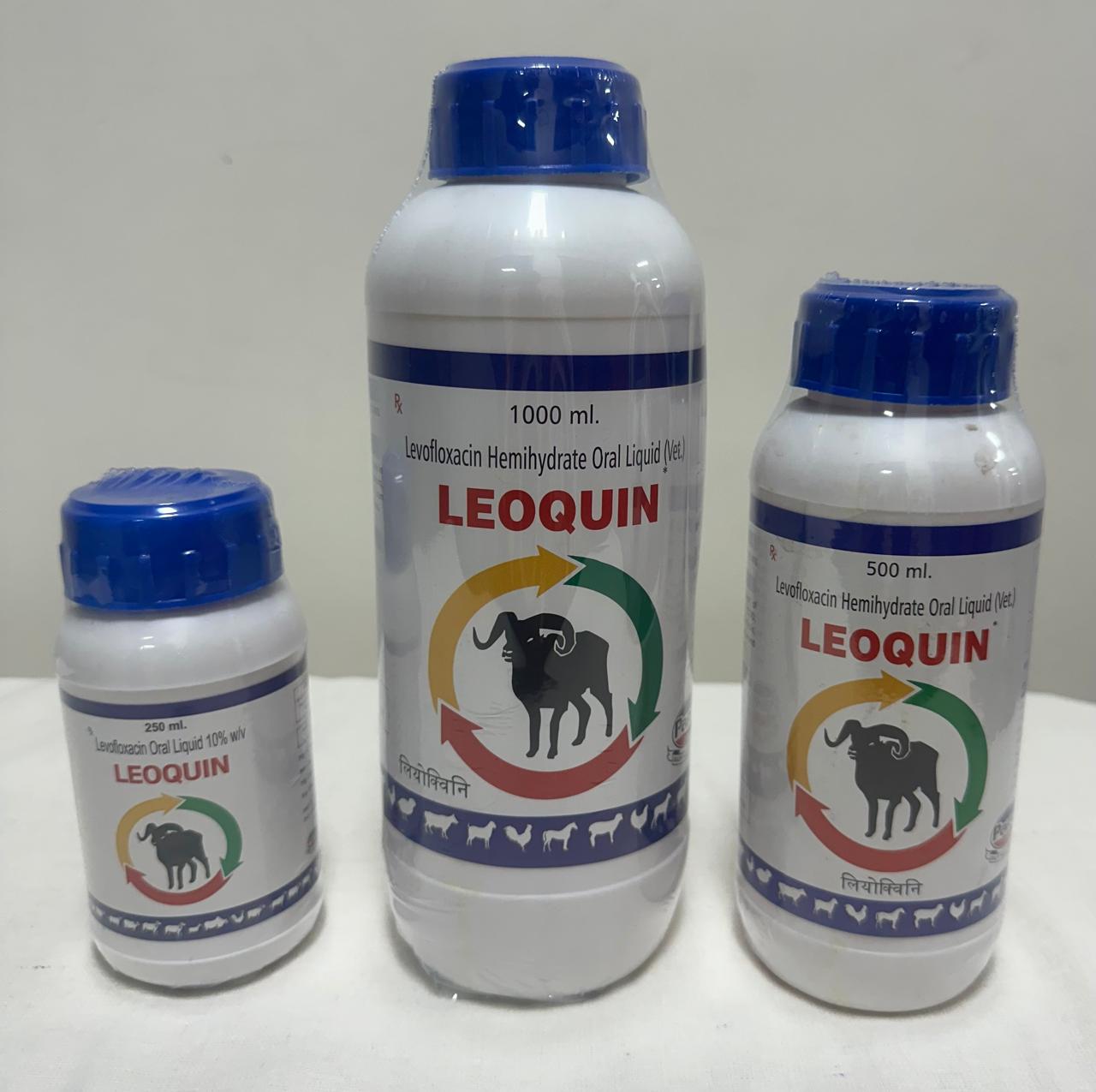Leoquin