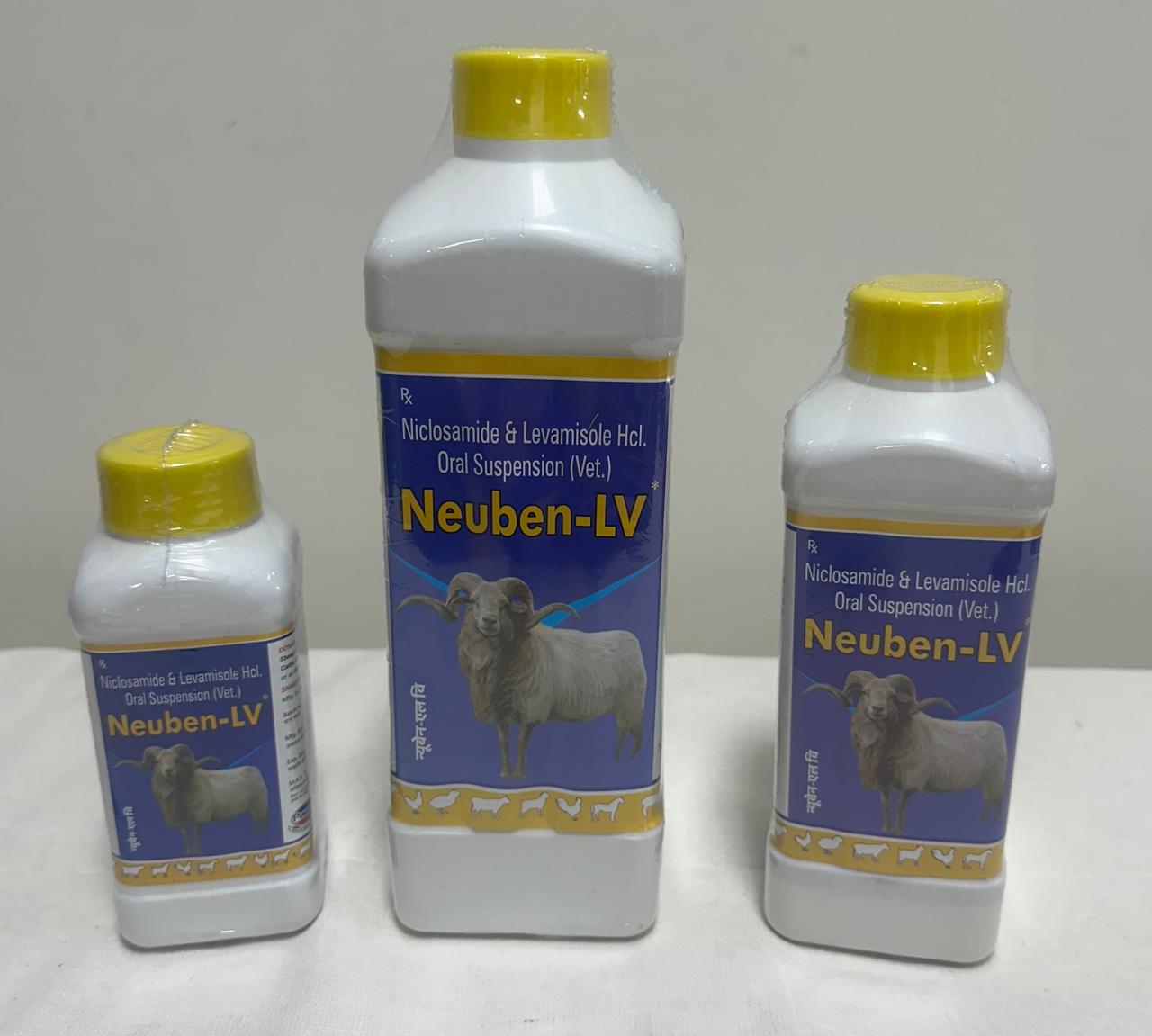 Neuben-LV